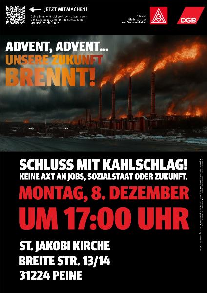 Schluss mit Kahlschlag! Aufruf Peine 8.12.2025
